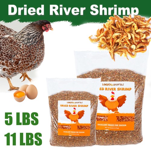 5lbs 11lbs premium - dried, river