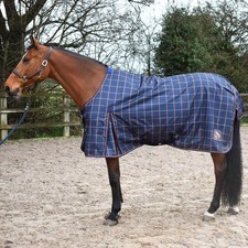 John Whitaker Jacob 0g Horse