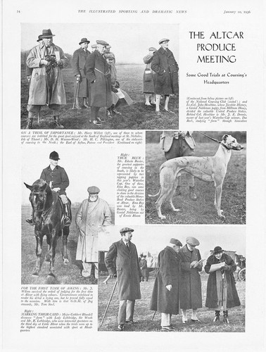Coursing the altcar greyhound - the,
