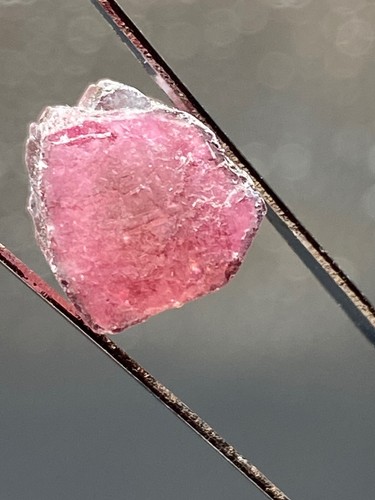 Watermelon tourmaline fine - tourmaline,