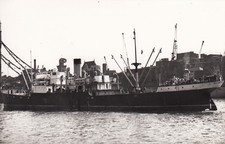 copyright  photograph of the "