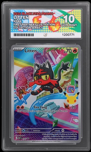 Litten 044 first partner - litten,