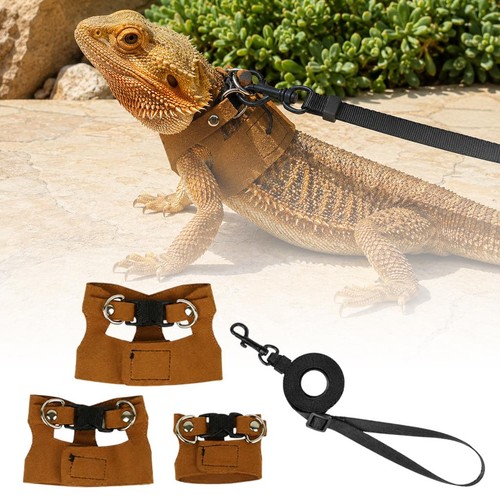 Adjustable bearded dragon - 3x,
