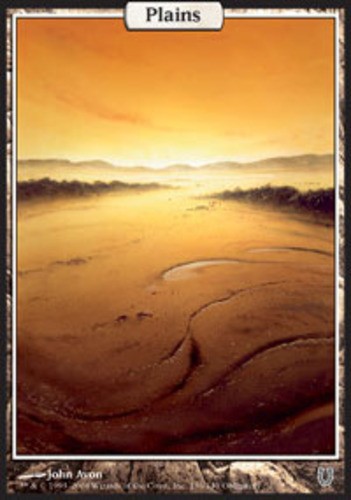 Mtg plains light - mtg,