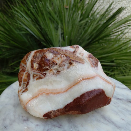 1984g raw pork - , stone