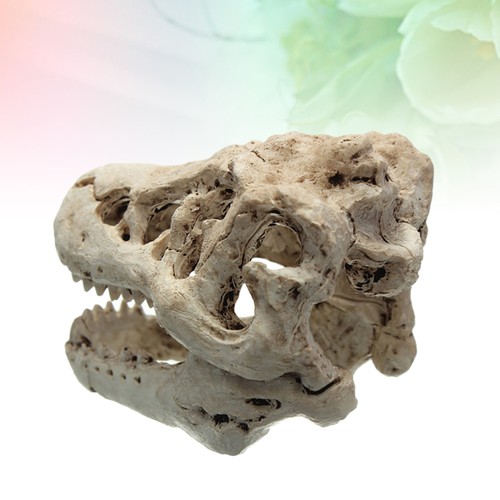 Fish tank ornament tropical - fish,