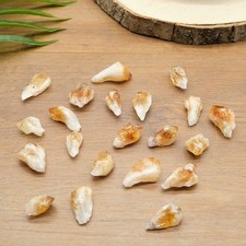 Citrine Mini Points Teeth