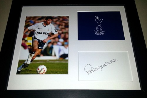 Pat van den hauwe - hauwe, spurs