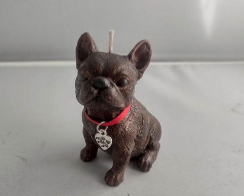 Cute little brindle french - cute,