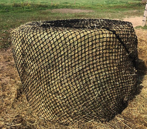 Tech equestrian upgraded 5mm - equestrian,