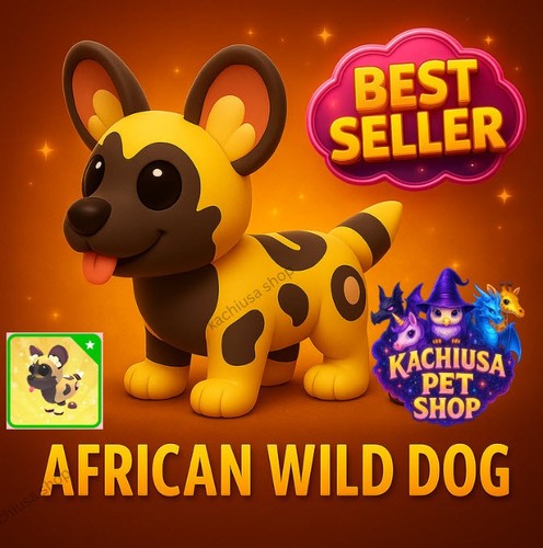 African wild dog - wild, pet