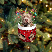 American bully christmas - american,