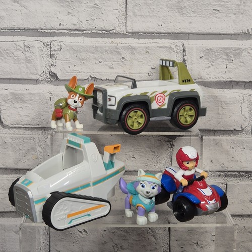 Paw patrol ryder everest - patrol,