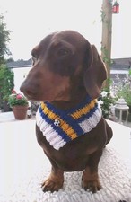 LEEDS UNITED  ⚽️  Dog