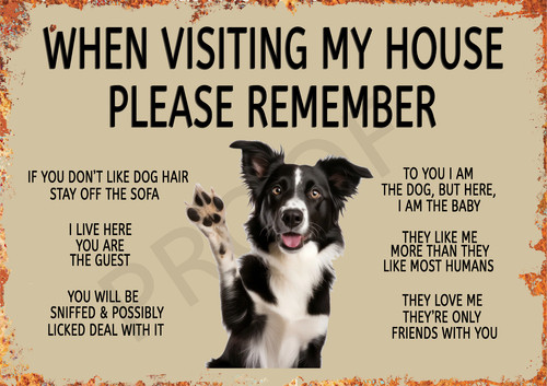 Funny border collie aluminium - funny,