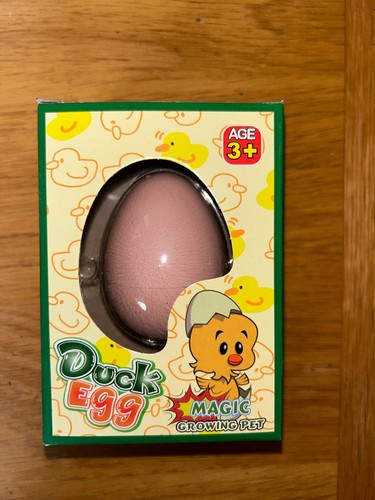 Brand new hatching - hatching, duck