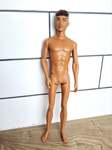 Barbie doll ken - barbie, hybrid