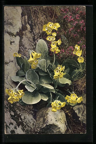 Postcard photochromy 792 - photochromy, nr