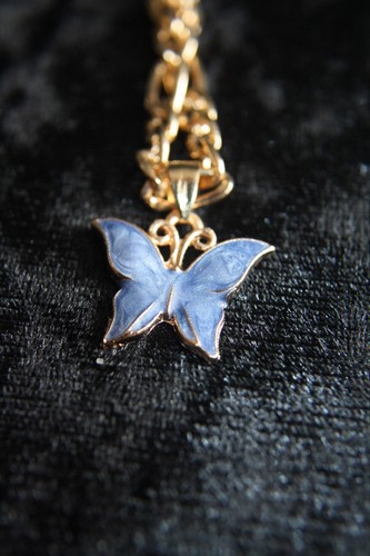 Brand new blue - brand, butterfly