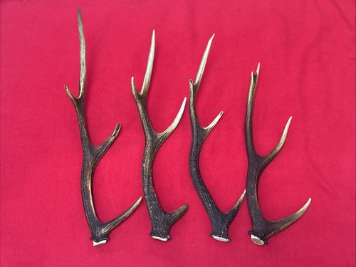Pieces sika deer - pieces,