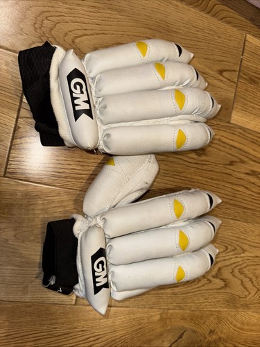 Brand new cricket - gm, gloves