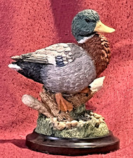 Country Artists for the