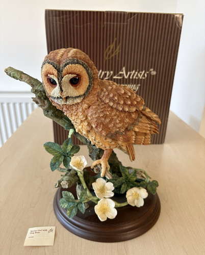Country artists tawny - tawny, owl