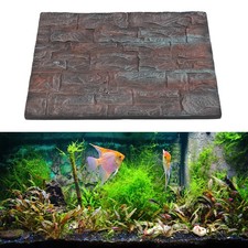 A-Fish Tank Background Wall