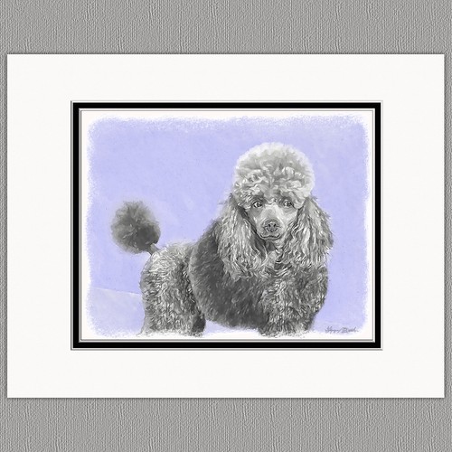 Poodle miniature toy - poodle,