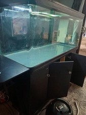 BOYU Aquarium Fish Tank with