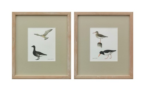 Pair norman arlott original - of,