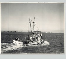 Fishing Vessel QUEST CAT