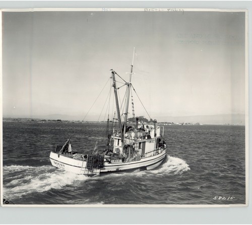 Fishing vessel quest cat - fishing,