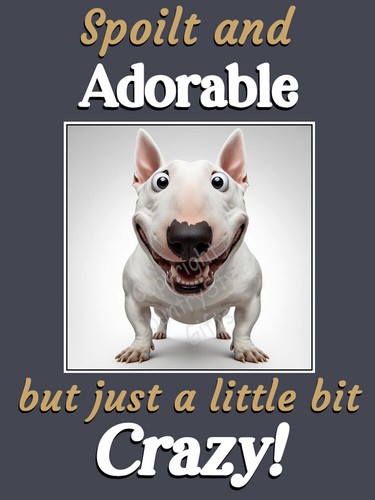 English bull terrier dog funny - dog,