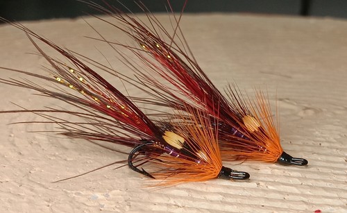 Claret cormick s shrimp - claret, cormick,s