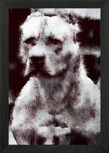 American pit bull - bull, terrier