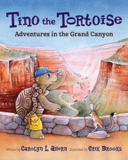 Tino the Tortoise: Adventures