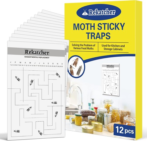 Moth traps pcs pantry - pcs,