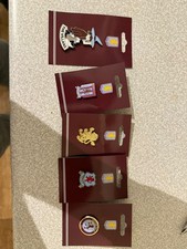 Aston Villa Pin Badges Fridge