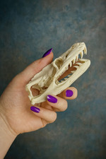Replica Reticulated Python