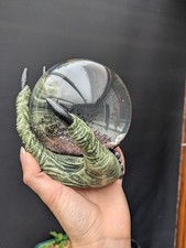 Tk Maxx Homesense halloween