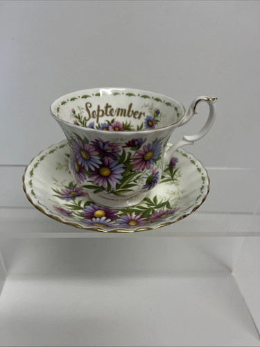 Royal albert michealmas daisy - albert,