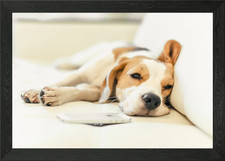 Puppy Beagle Framed Wall Art
