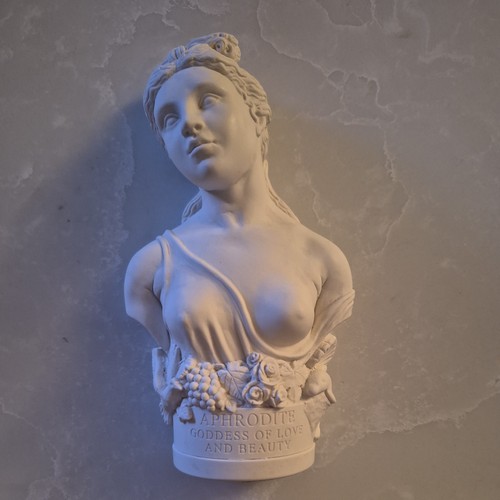 White plaster bust - , of