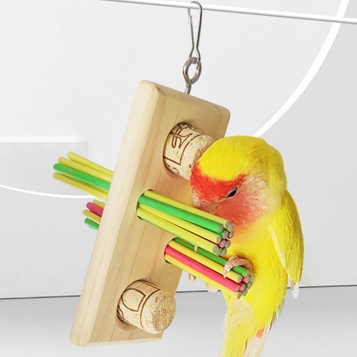 Parrot chewing toys cage bite - chewing,