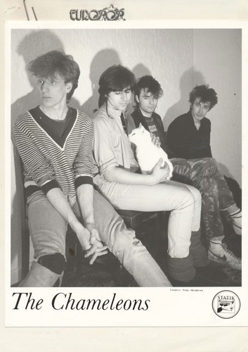 The chameleons 1980s - the,