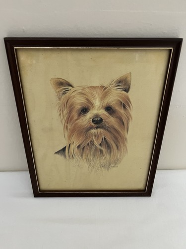 Yorkshire terrier print by - yorkshire,