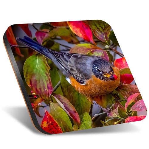 Square coaster 12cm - 1x,