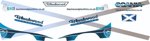 Scale blackwood plant - scale,