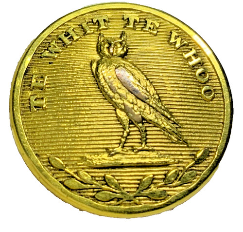 Sweet suffolk owl - owl, te